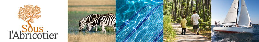 Sous l'abricotier - Chambre d'hôte à Durban dans les Corbières