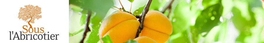 Sous l'abricotier - Chambre d'hte  Durban dans les Corbires